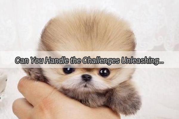 Can You Handle the Challenges Unleashing the Good Temperament of Dogs